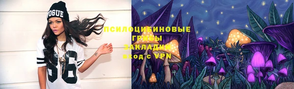 дурь Арсеньев