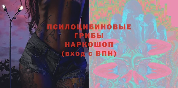 дурь Арсеньев