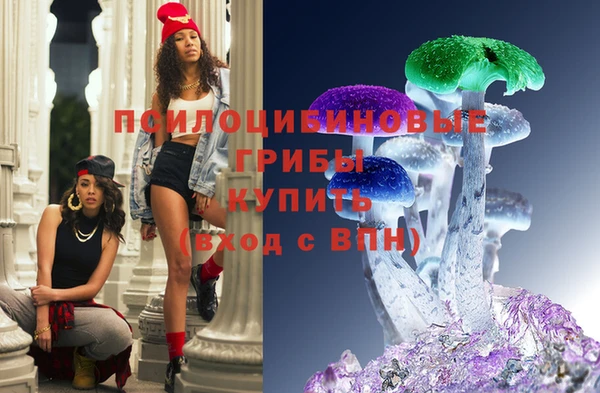 дурь Арсеньев