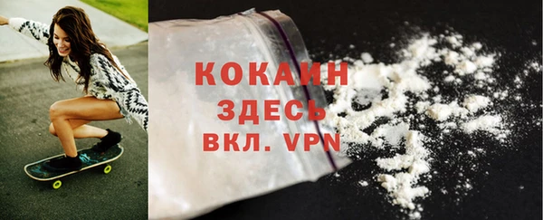 дурь Арсеньев