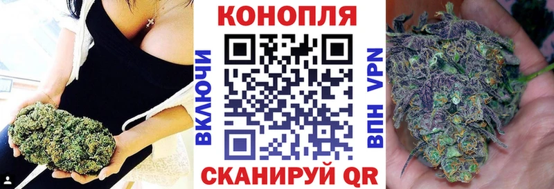 Купить где  Суворов  Конопля сатива 